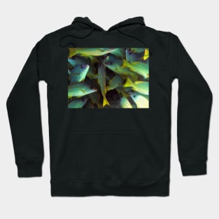 Wall of Colorful Striped Snapper Fish Hoodie